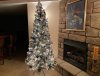 bar tree.jpg