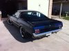 mustang rear.jpg