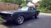 stang.jpg